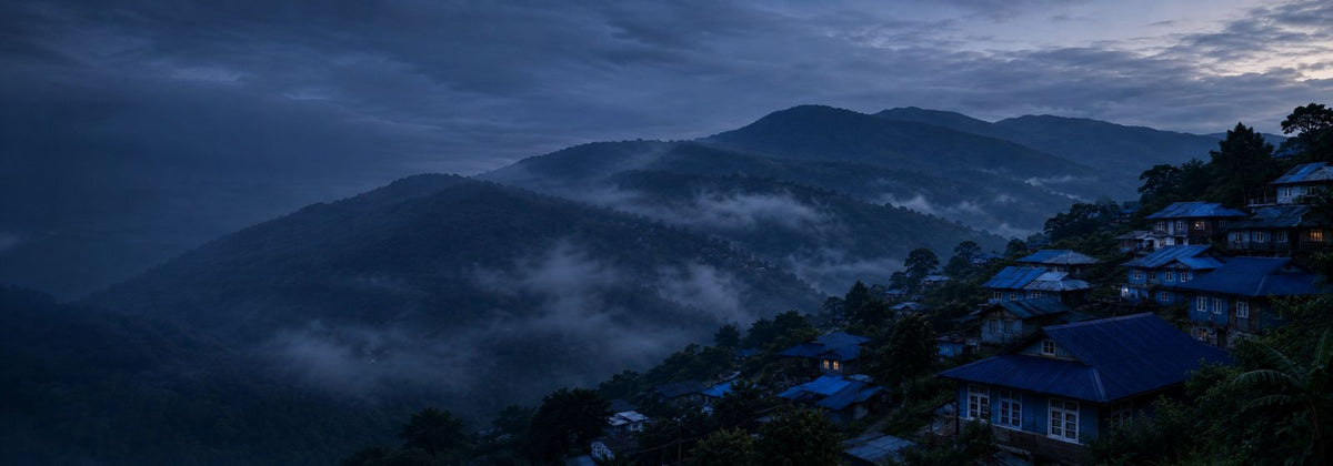 Kohima Indigo